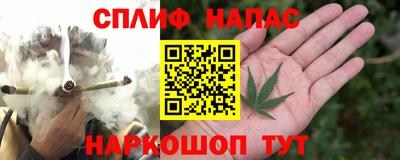 spice Аша