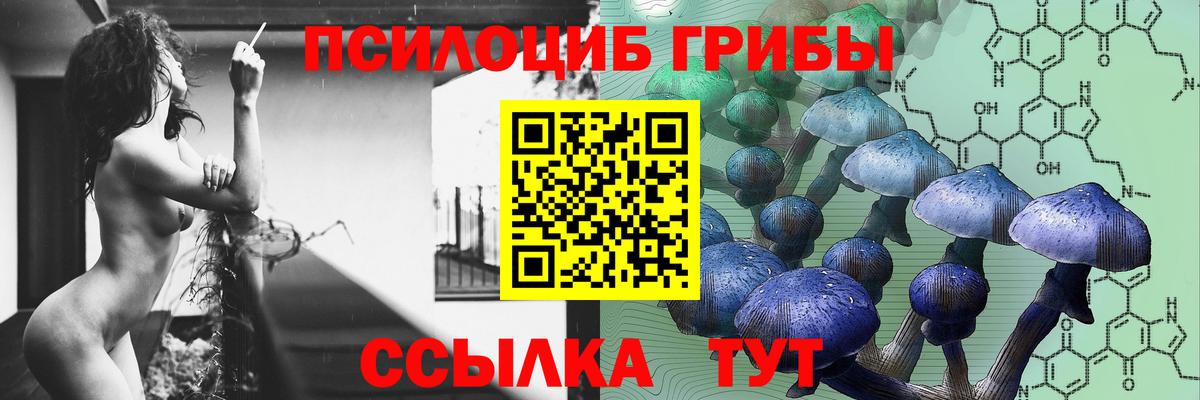 Псилоцибиновые грибы Cubensis Артём